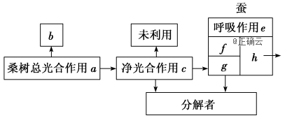 www.xiangpi.com
