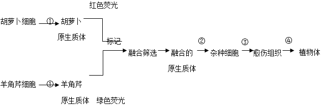 www.xiangpi.com