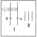 www.xiangpi.com