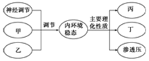 www.xiangpi.com