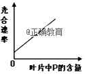 www.xiangpi.com