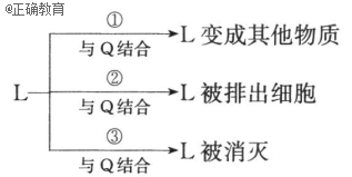 www.xiangpi.com