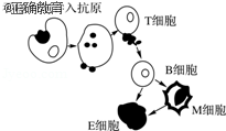 www.xiangpi.com