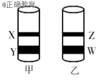 www.xiangpi.com