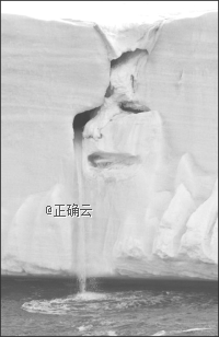 www.xiangpi.com
