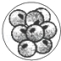 www.xiangpi.com