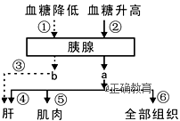www.xiangpi.com