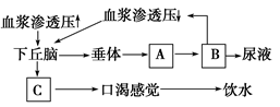 www.xiangpi.com