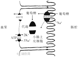 www.xiangpi.com