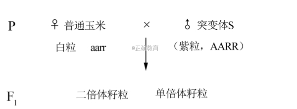 www.xiangpi.com