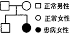 www.xiangpi.com