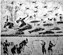 www.xiangpi.com
