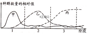 www.xiangpi.com