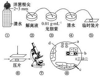 www.xiangpi.com