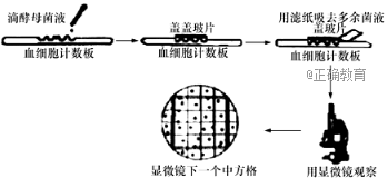www.xiangpi.com
