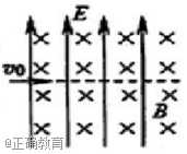 www.xiangpi.com