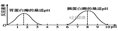 www.xiangpi.com
