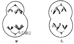 www.xiangpi.com