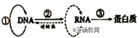 www.xiangpi.com