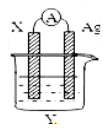 www.xiangpi.com