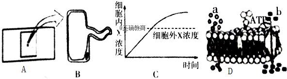 www.xiangpi.com