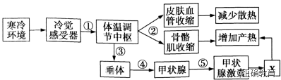 www.xiangpi.com