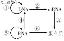 www.xiangpi.com