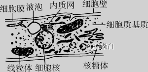 www.xiangpi.com