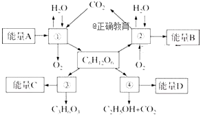 www.xiangpi.com