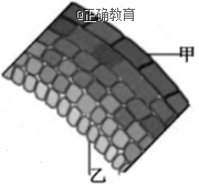 www.xiangpi.com