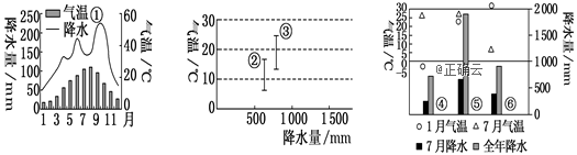 www.xiangpi.com