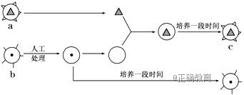 www.xiangpi.com