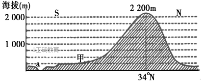 www.xiangpi.com