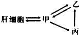 www.xiangpi.com