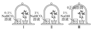 www.xiangpi.com
