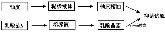 www.xiangpi.com