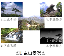www.xiangpi.com