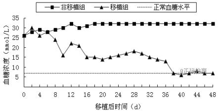 www.xiangpi.com