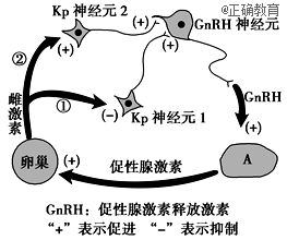 www.xiangpi.com