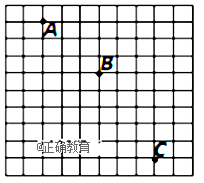 www.xiangpi.com