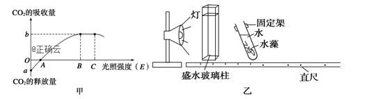www.xiangpi.com