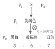 www.xiangpi.com