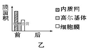 www.xiangpi.com