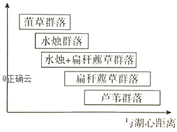 www.xiangpi.com