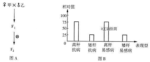 www.xiangpi.com