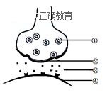 www.xiangpi.com