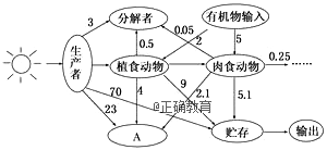 www.xiangpi.com