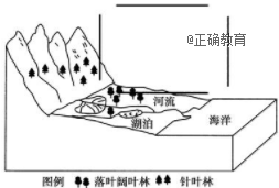 www.xiangpi.com