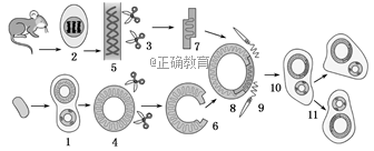 www.xiangpi.com