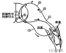 www.xiangpi.com
